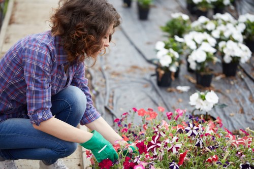 Certificate of public liability insurance document held by insured gardening company