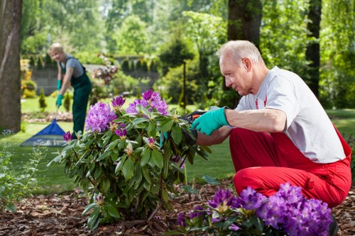 Inspector reviewing supplier documents for Highbury garden maintenance