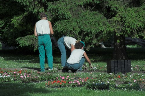 Gardener performing routine maintenance in an urban Highbury backyard