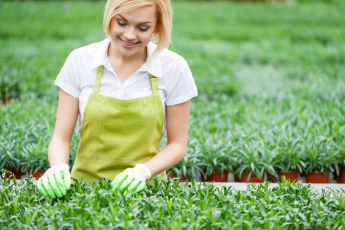 A woman with short blonde hair, wearing a white shirt, a bright green apron, and green gardening gloves, working in a lush, well-maintained garden nursery or greenhouse. She is tending to small potted plants with green foliage, arranged in neat rows on raised beds made of wood or brick. The background shows more densely packed plants and garden trays, suggesting a healthy growing environment with vibrant green colors and natural light filtering through. The scene highlights professional gardening and plant care activities typical of high-quality outdoor garden maintenance services in Highbury, with a focus on healthy, thriving plants and organized outdoor or greenhouse environments.